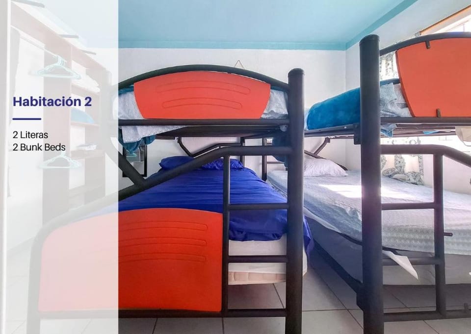 Bed, Photo of the whole room, Bedroom, bunk bed