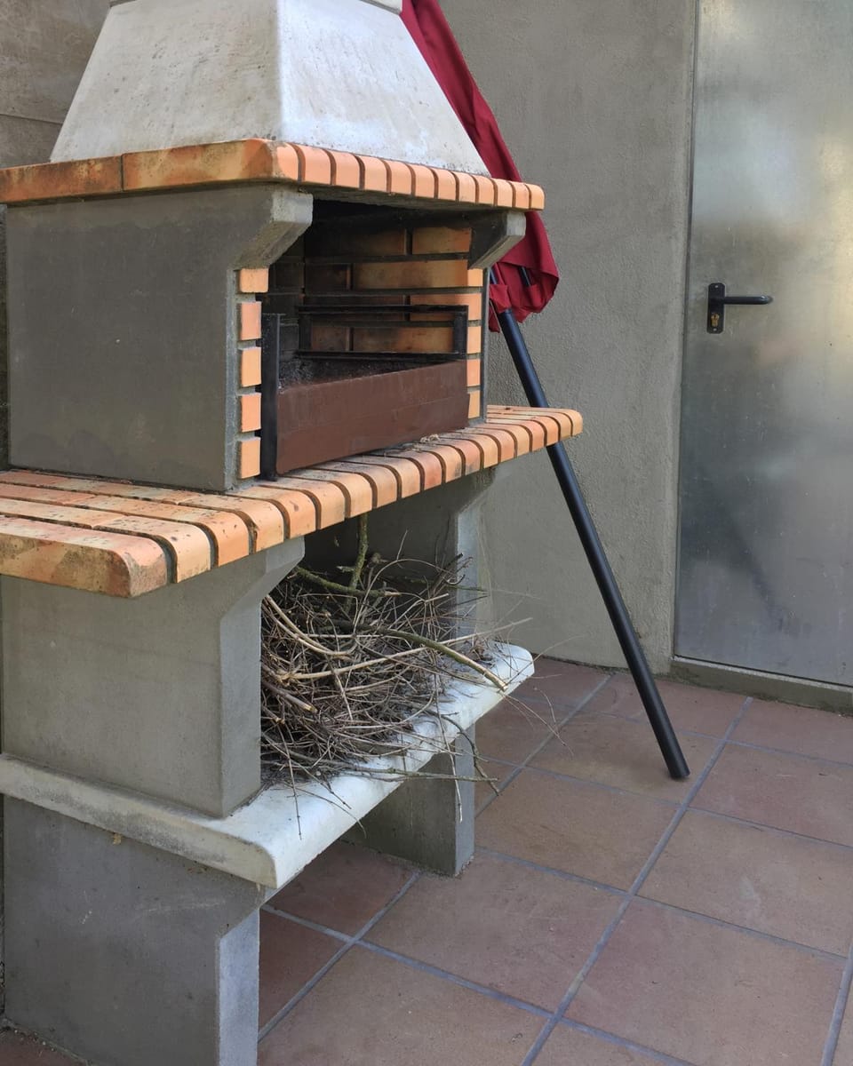 BBQ facilities
