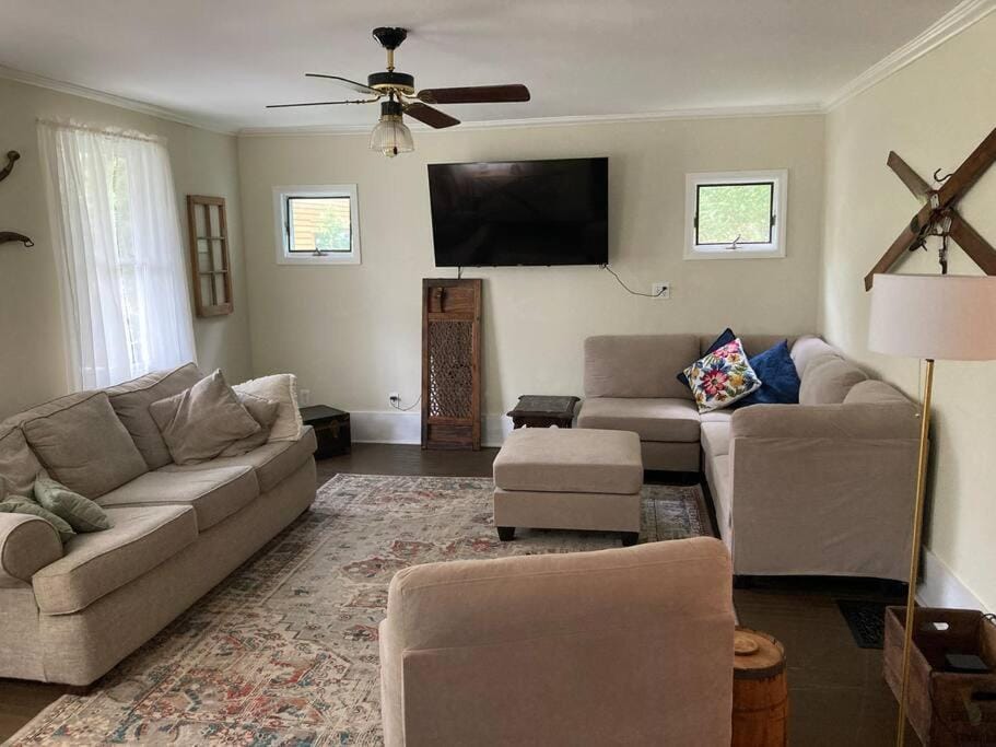 TV and multimedia, Living room