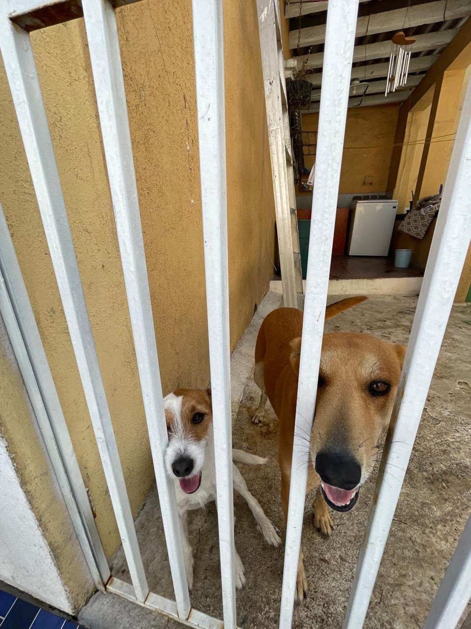 Casa Bienestar Vacation rental in Guatemala City