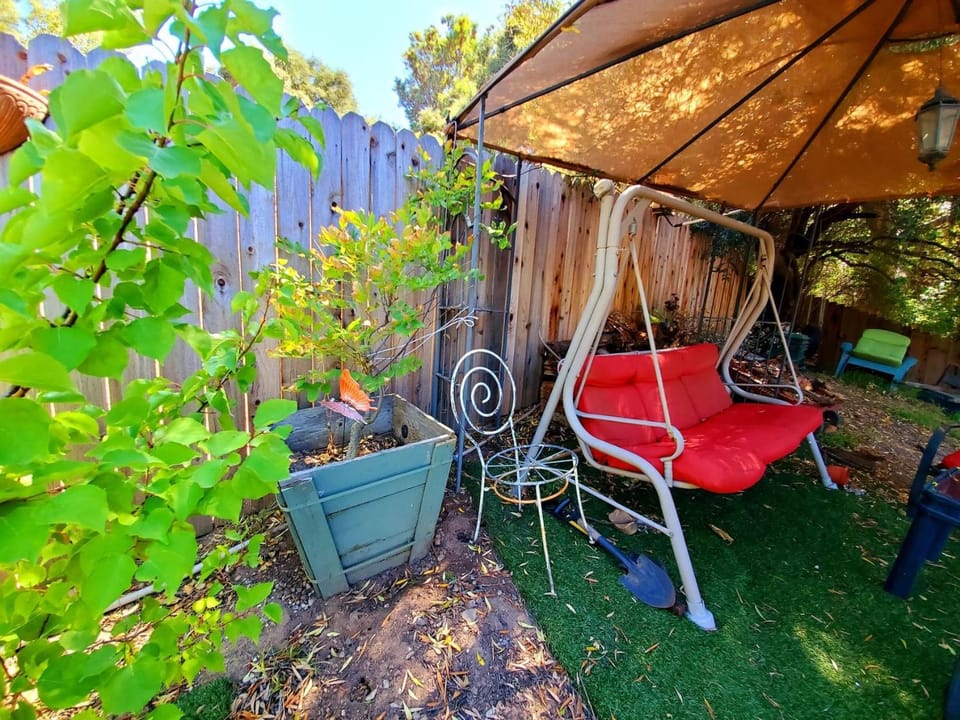 Garden view, furniture