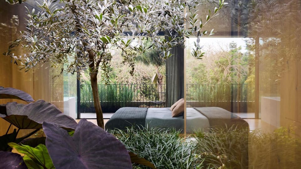 Garden view