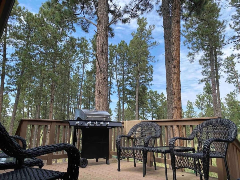 Black Hills Nature Retreat, Centrally Located House in Pennington County