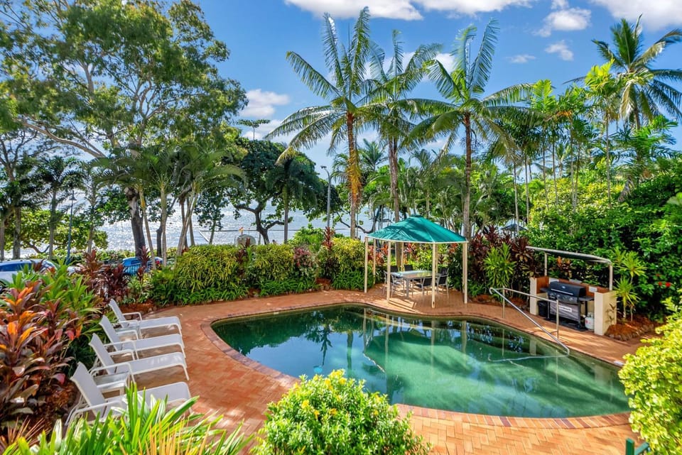Pool view, Swimming pool, sunbed