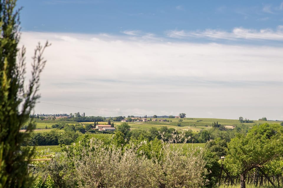 Day, Garden view