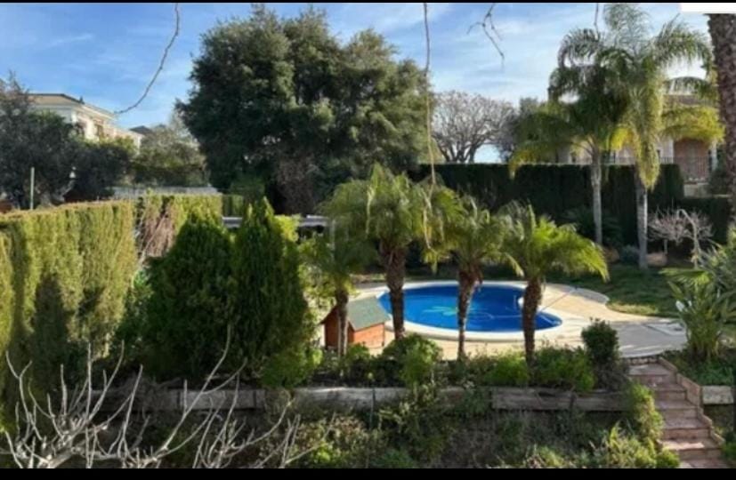 Garden, Pool view