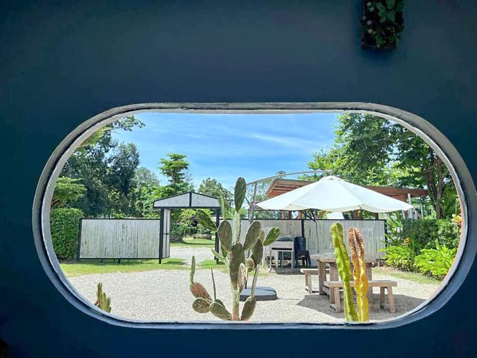Day, Garden, Garden view