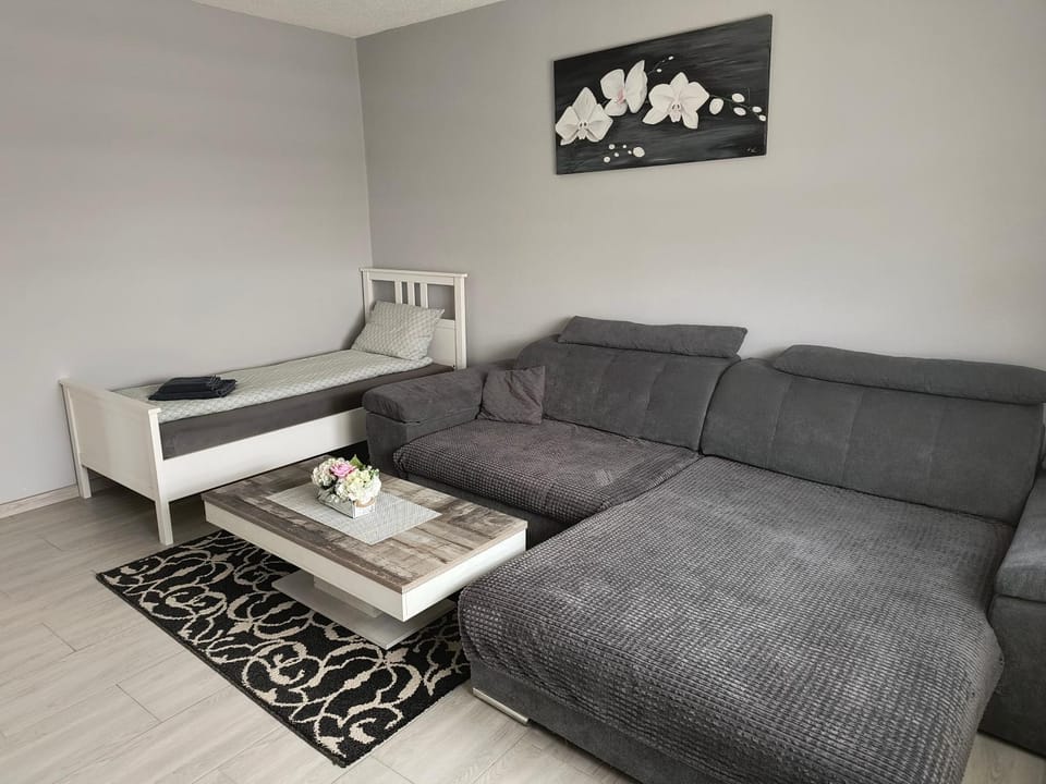 Casa Relax Apartment in Romania
