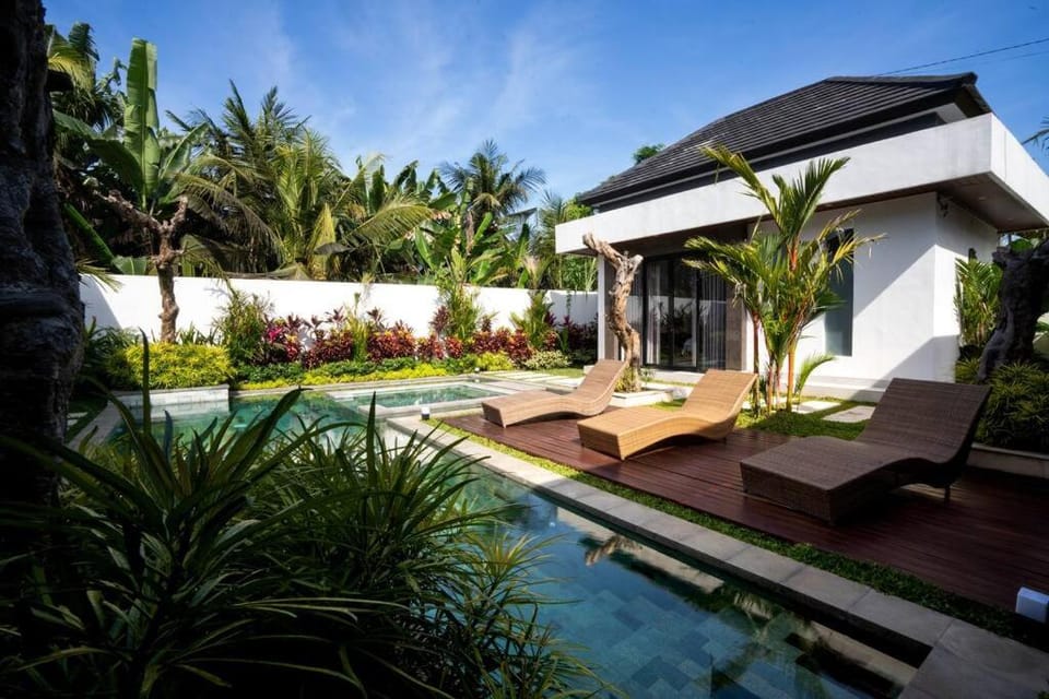 Day, Natural landscape, Garden, Swimming pool, sunbed