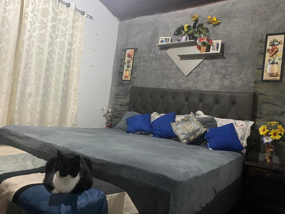 Encontro dos passaros House in State of São Paulo