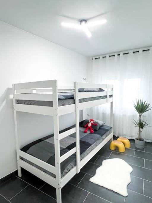 Photo of the whole room, Bedroom, bunk bed