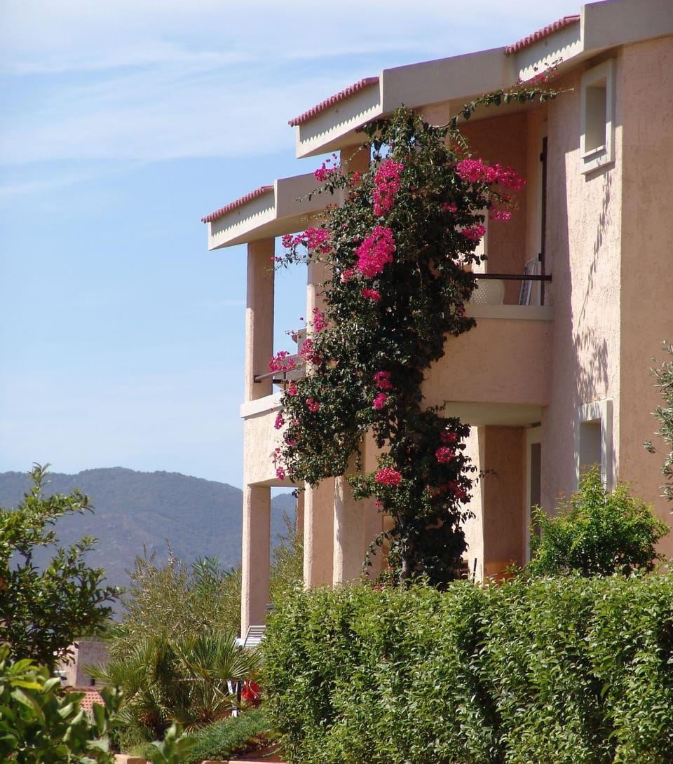 Spring, Summer, Balcony/Terrace, Autumn