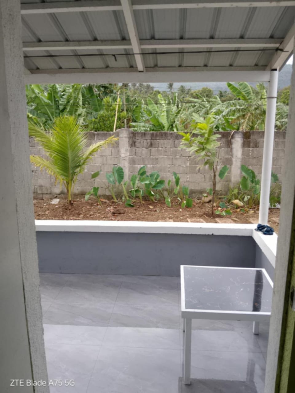 Garden view