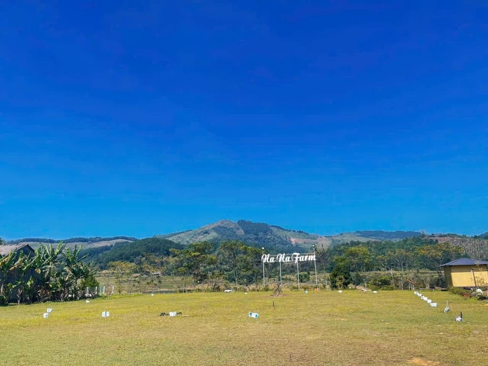 Day, Natural landscape, Garden, Hiking, Mountain view