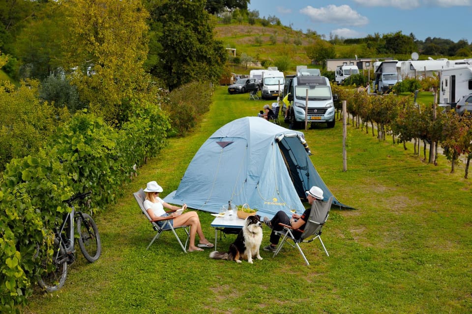 Saxida Wine & Camping Resort - Campsite Campground/ 
RV Resort in Friuli-Venezia Giulia