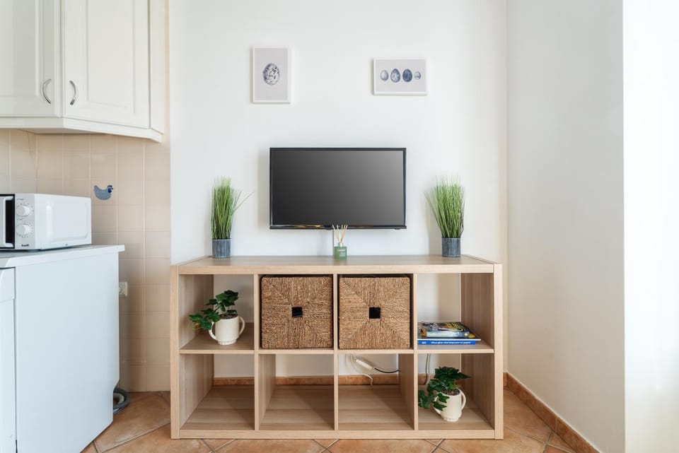 TV and multimedia