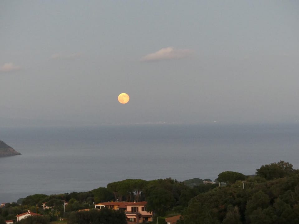 Natural landscape, Sea view