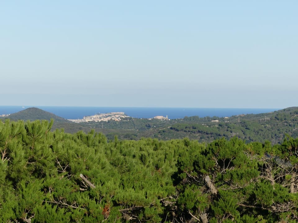 Natural landscape