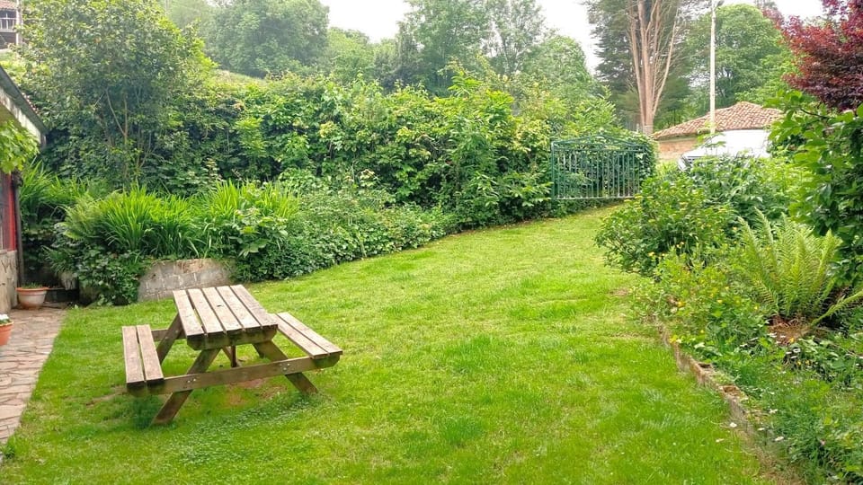 Spring, Day, Natural landscape, Garden, Garden view