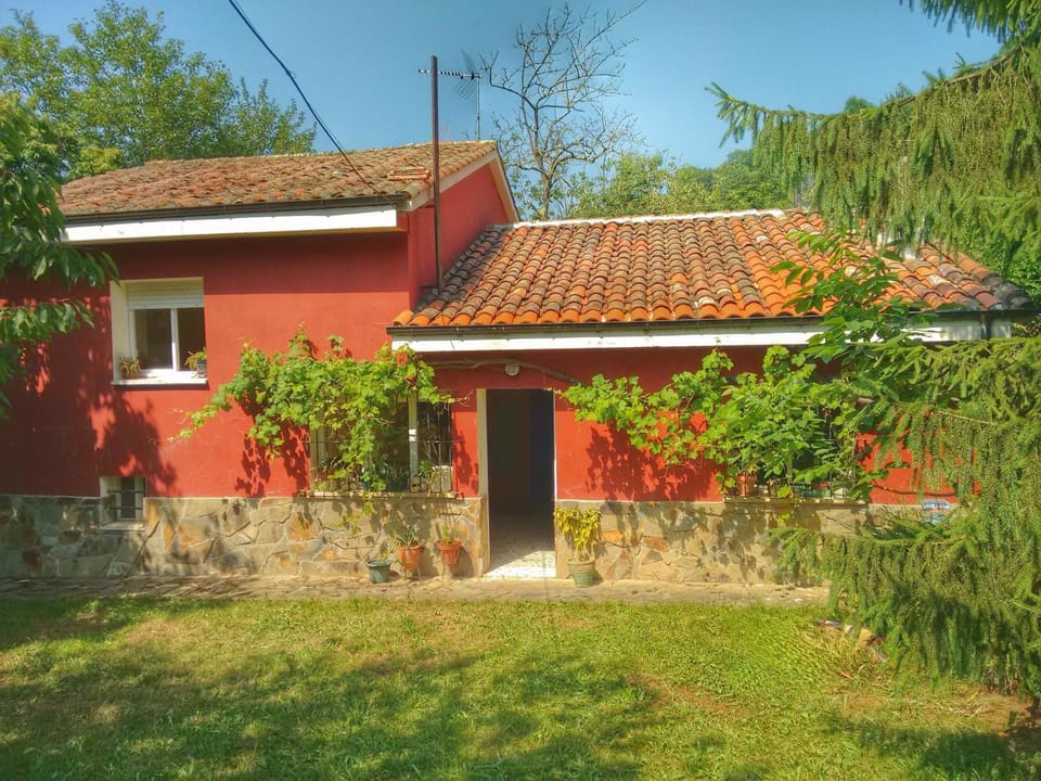 Property building, Spring, Day, Summer, Garden, Garden view
