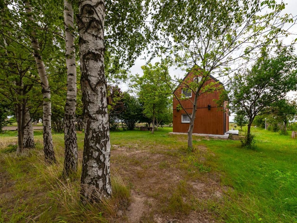 Day, Garden, Garden view