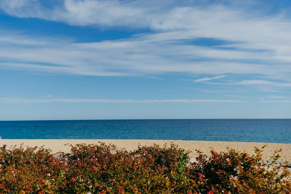 Sea view