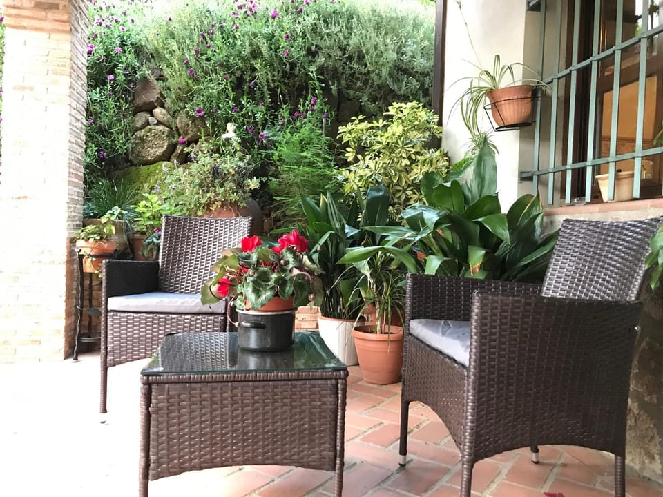 Patio, Day, Garden view