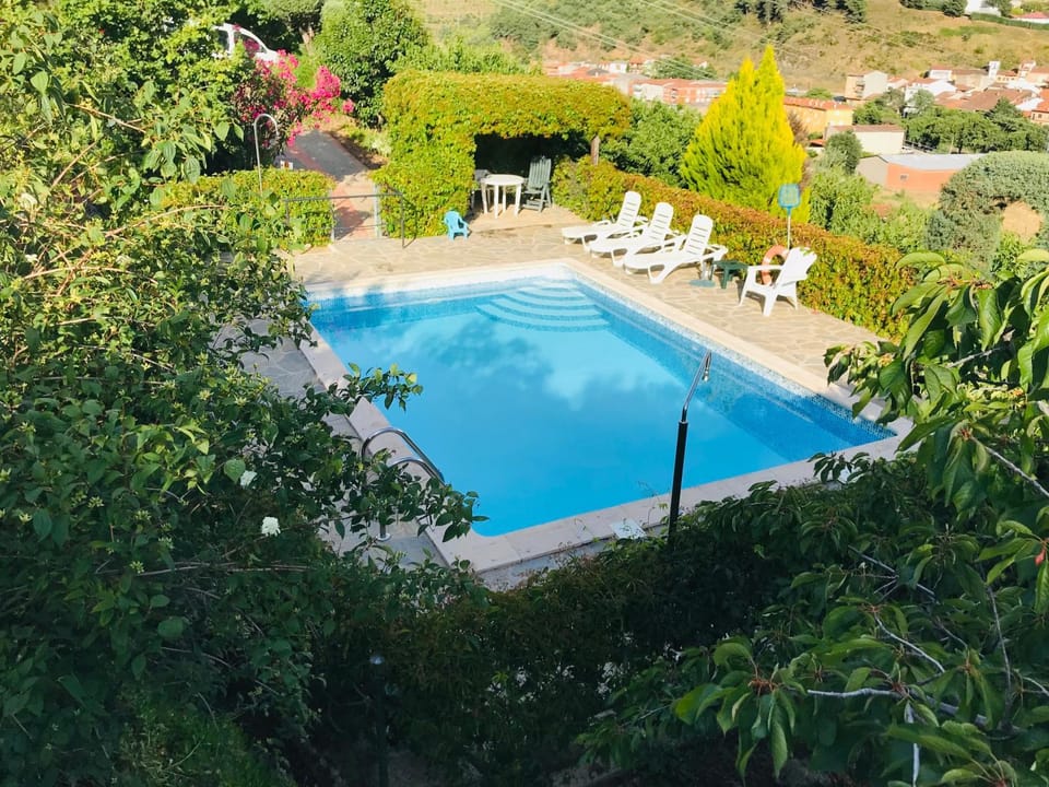 Spring, Natural landscape, Garden, Pool view, Swimming pool, Swimming pool, sunbed