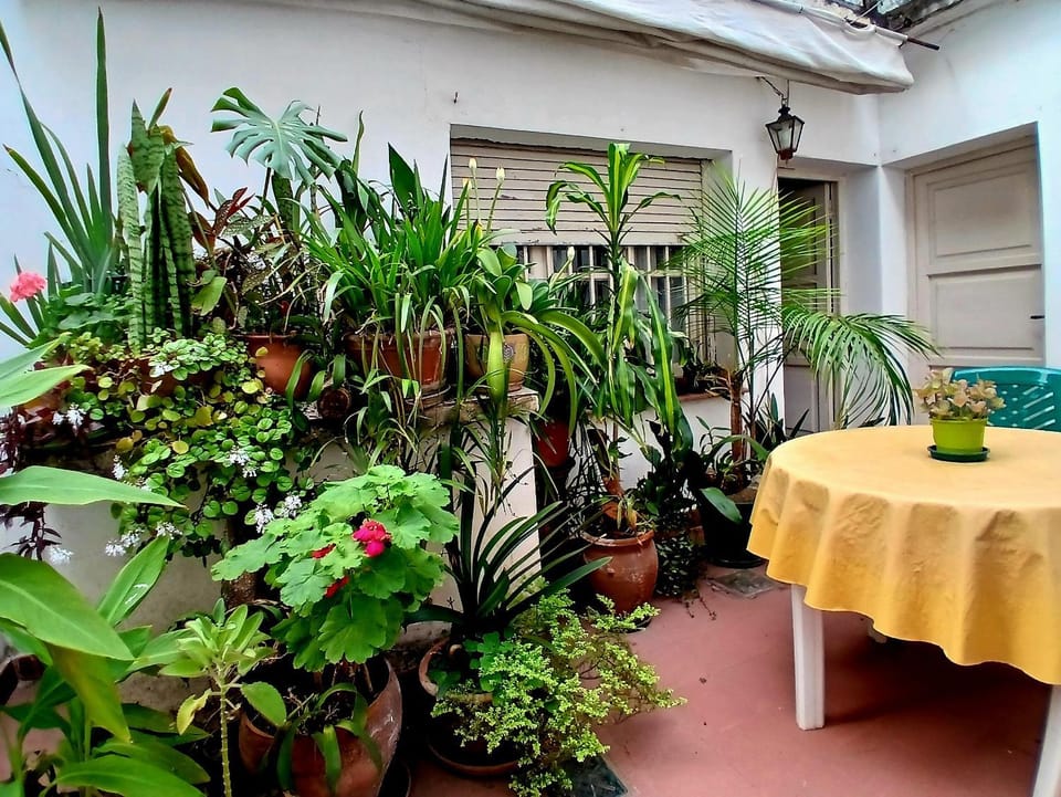Patio, Inner courtyard view