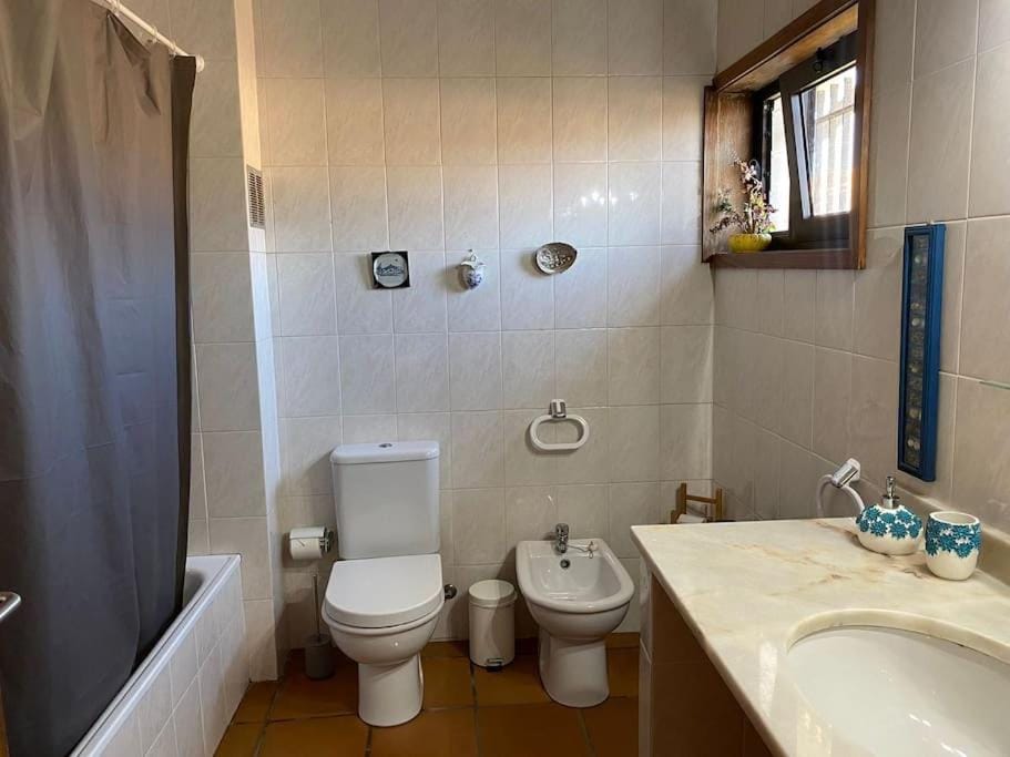 Shower, Bathroom, bidet
