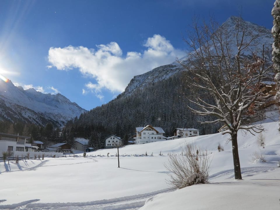 Mountain view