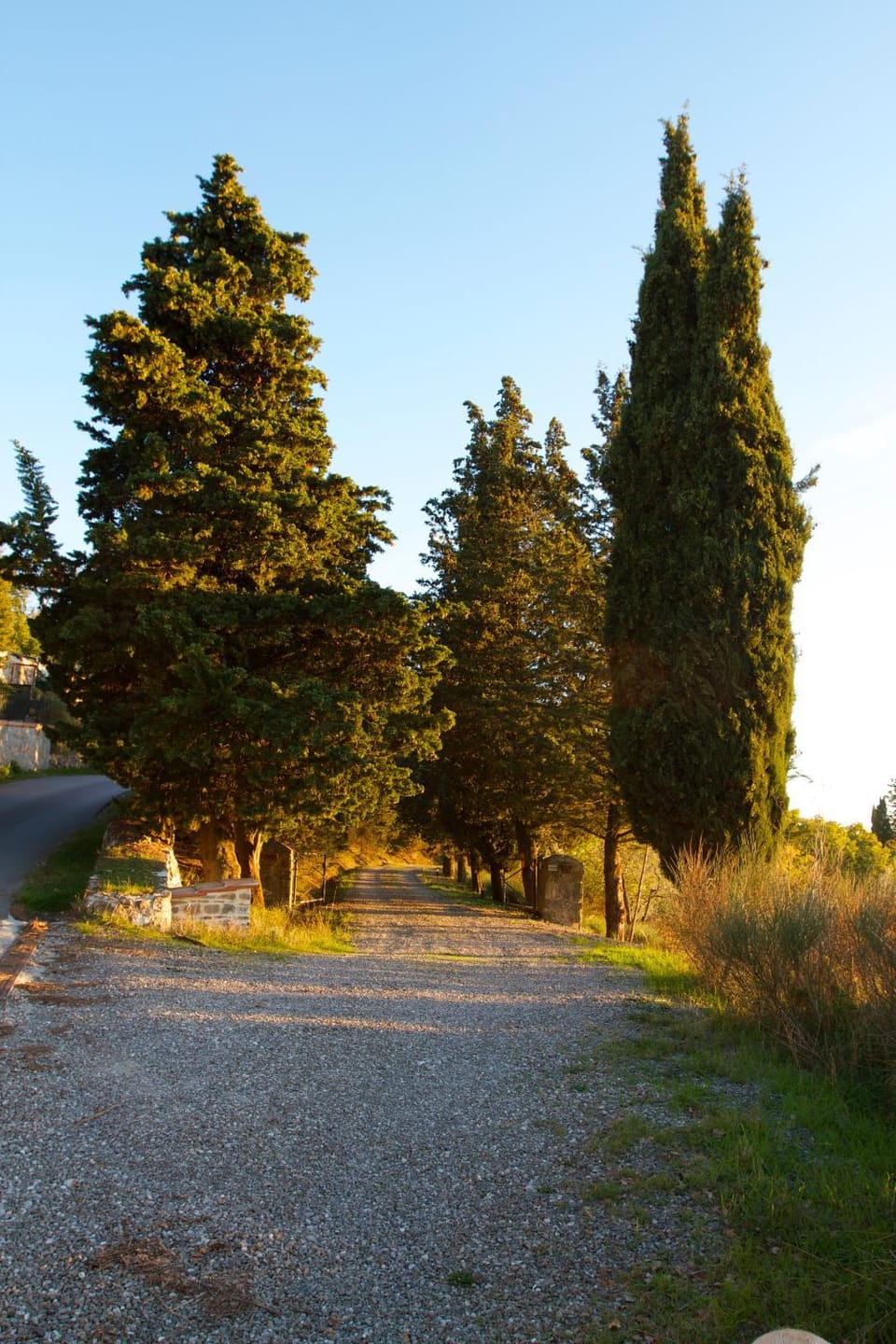 Quiet street view