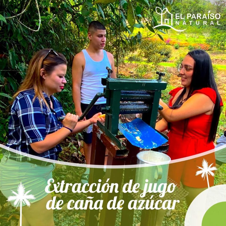 Cabaña el Guayabal Chalet in Cartago Province, Costa Rica