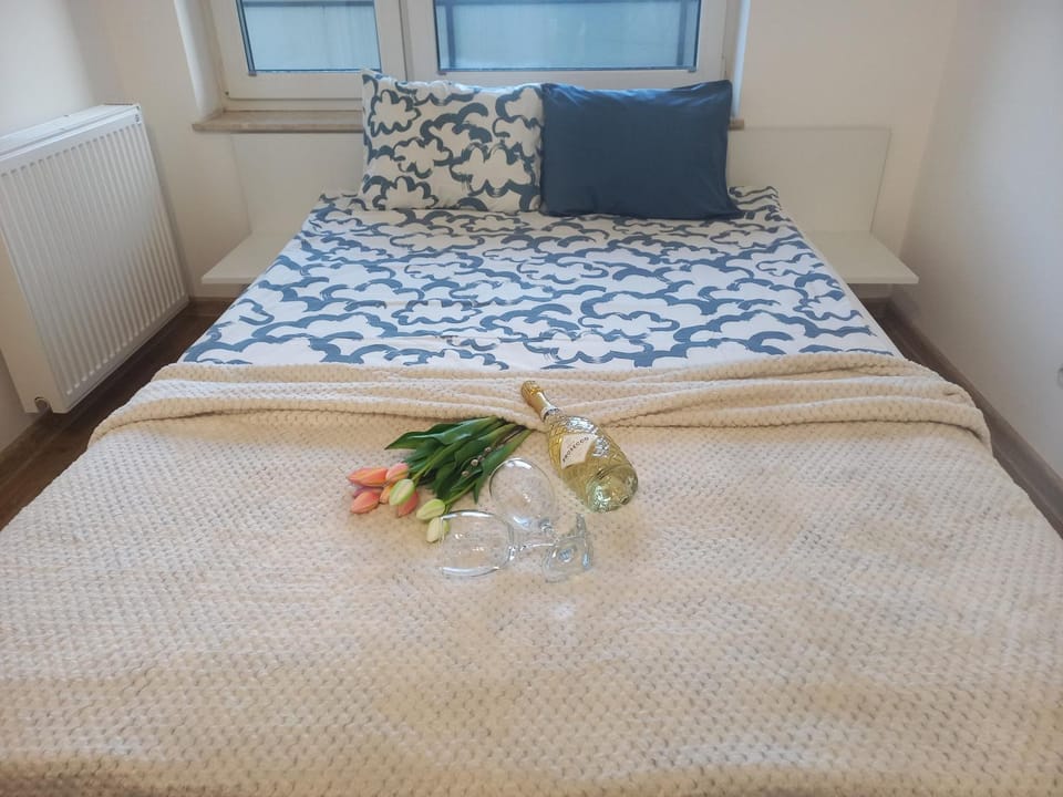 Wygodne Mieszkania Ceglana Apartment in Poland