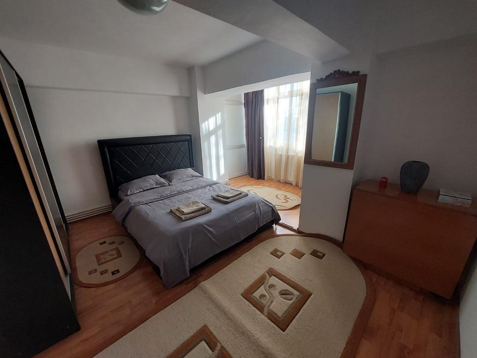 Cazare apartament Craiova Apartment in Craiova