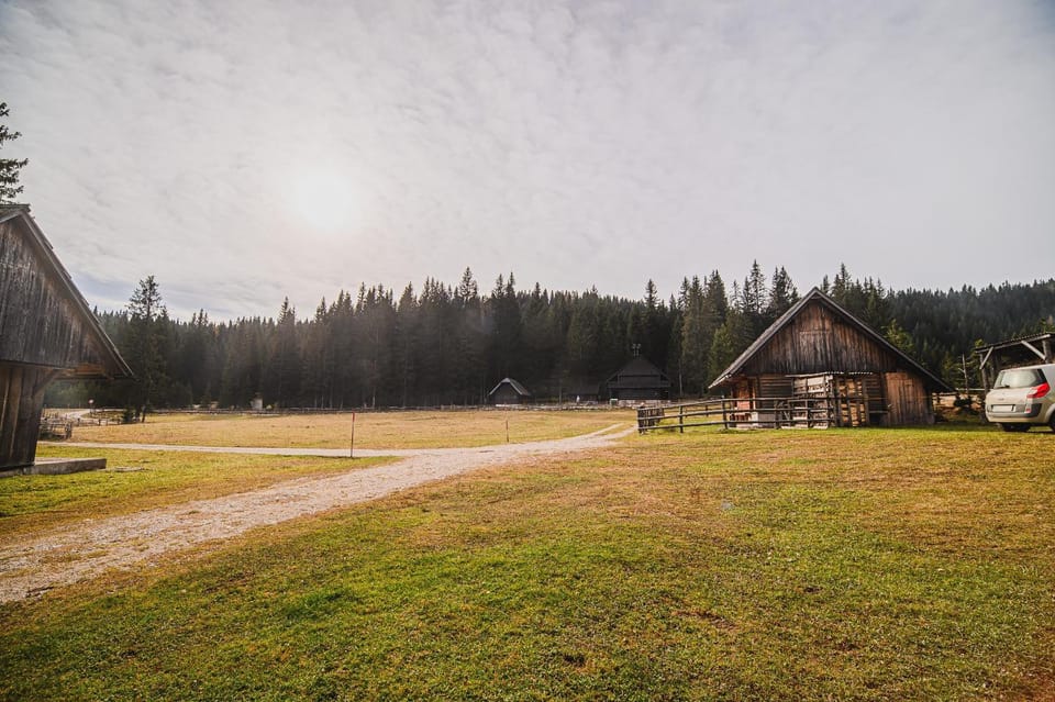Day, Natural landscape, Garden