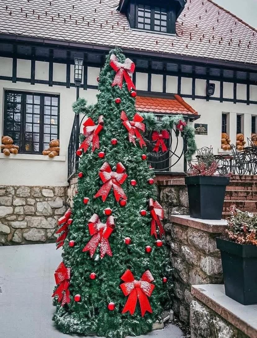 Diamond grey Titova Vila Apartment in Zlatibor