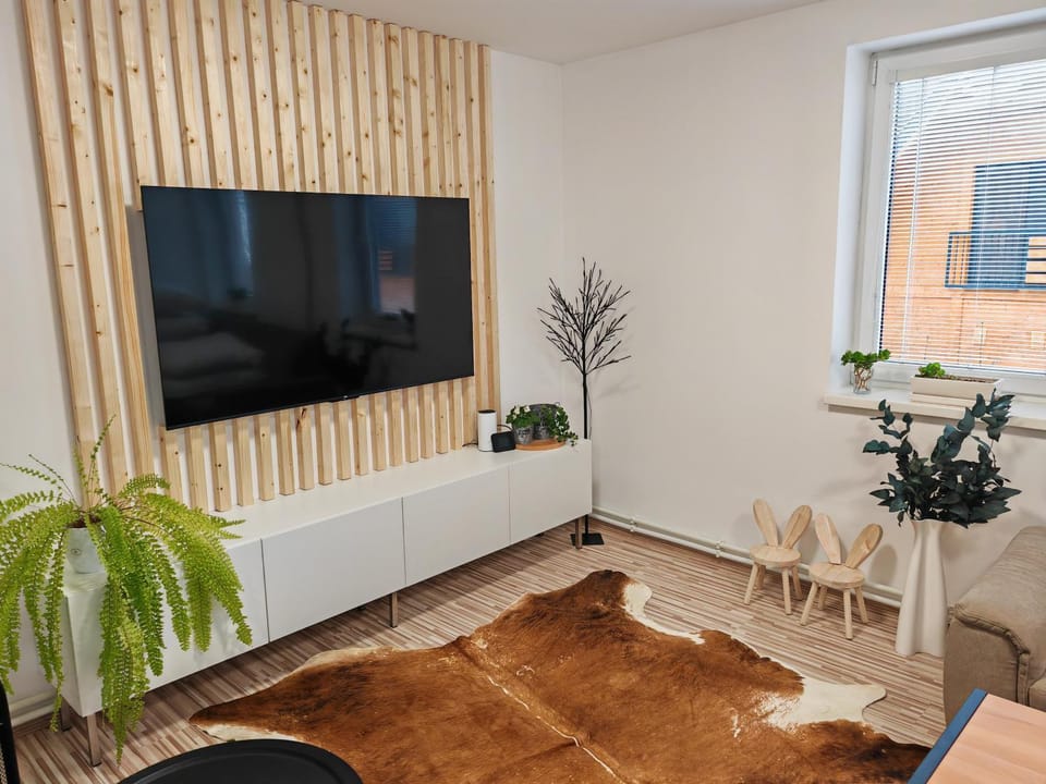 TV and multimedia