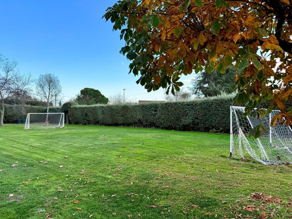 Spring, Day, Natural landscape, Garden, Garden view