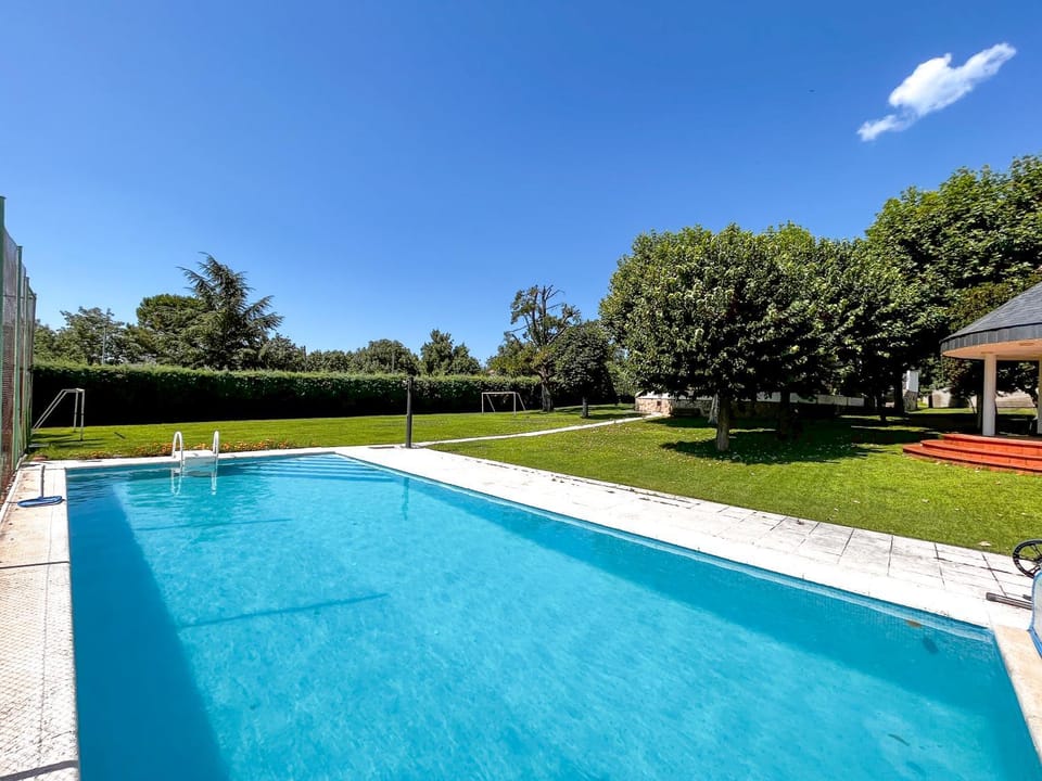 Day, Garden, Garden view, Pool view, Swimming pool, sunbed