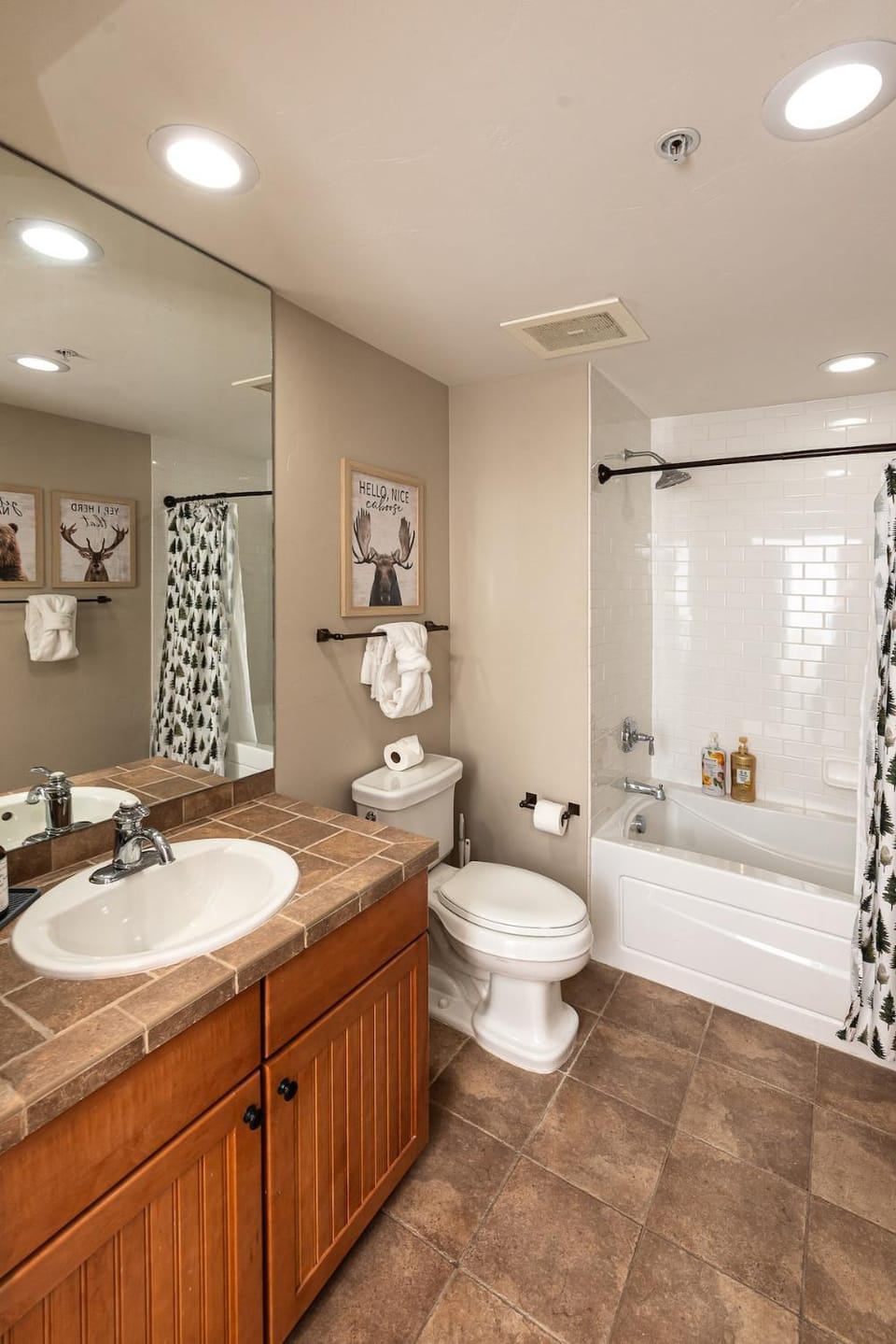 Shower, Toilet, Bathroom, Bath, towels