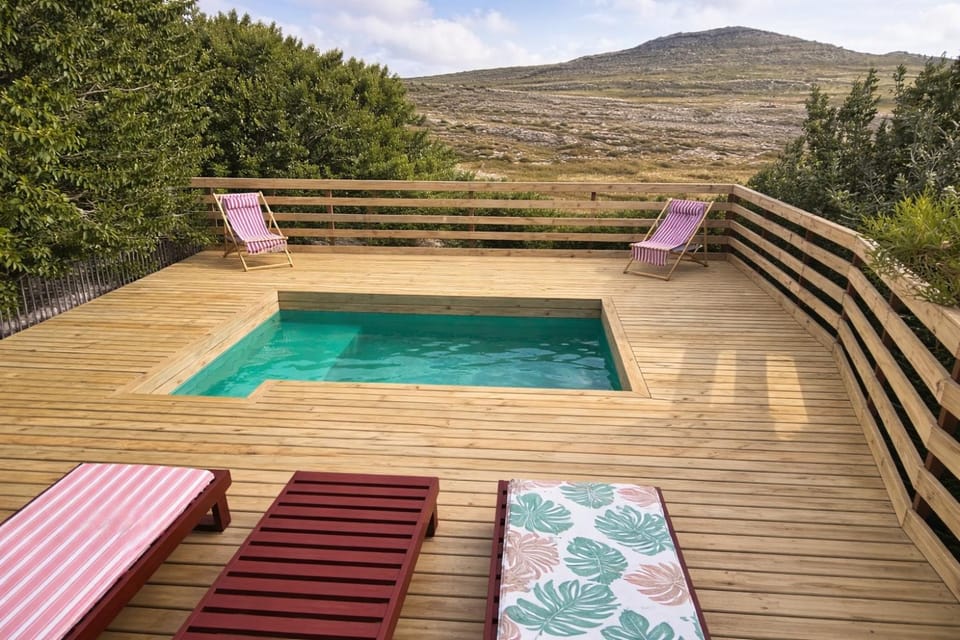 Wildlife Paradise Beach House House in Cape Town