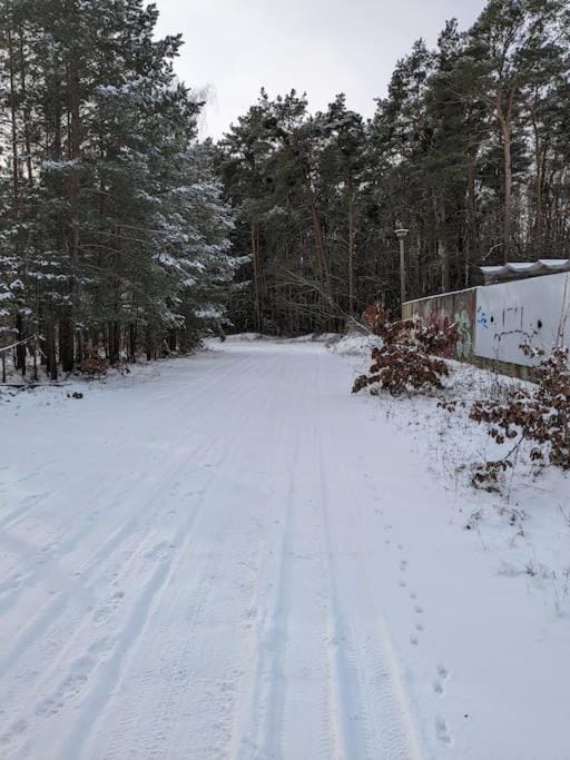 Day, Natural landscape, Winter