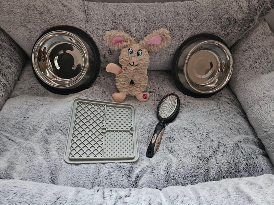 pet friendly, pet friendly