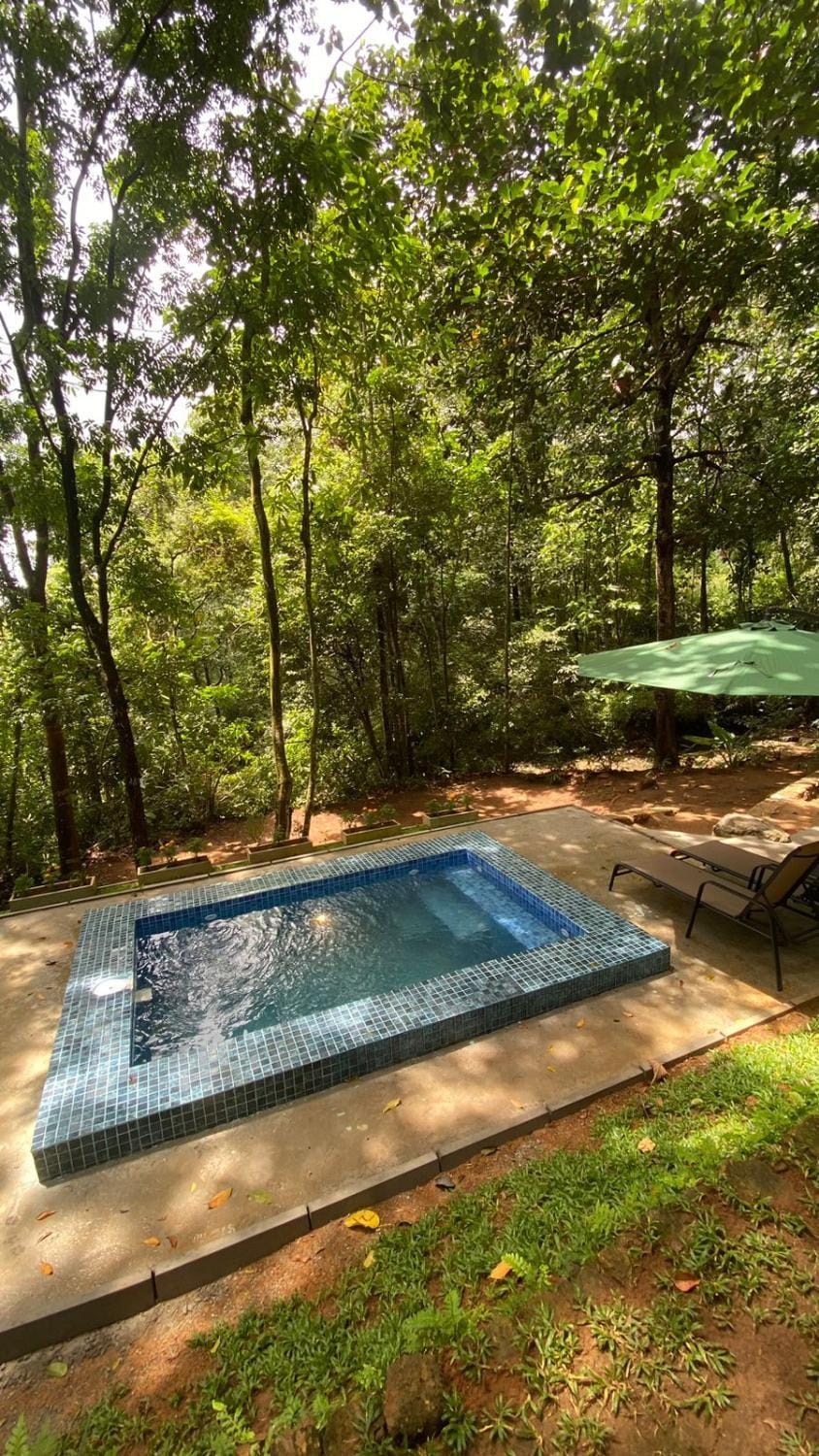 Garden, Swimming pool