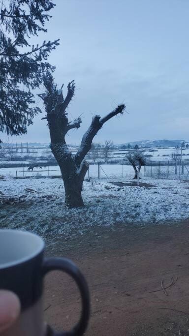 Day, Natural landscape, Winter