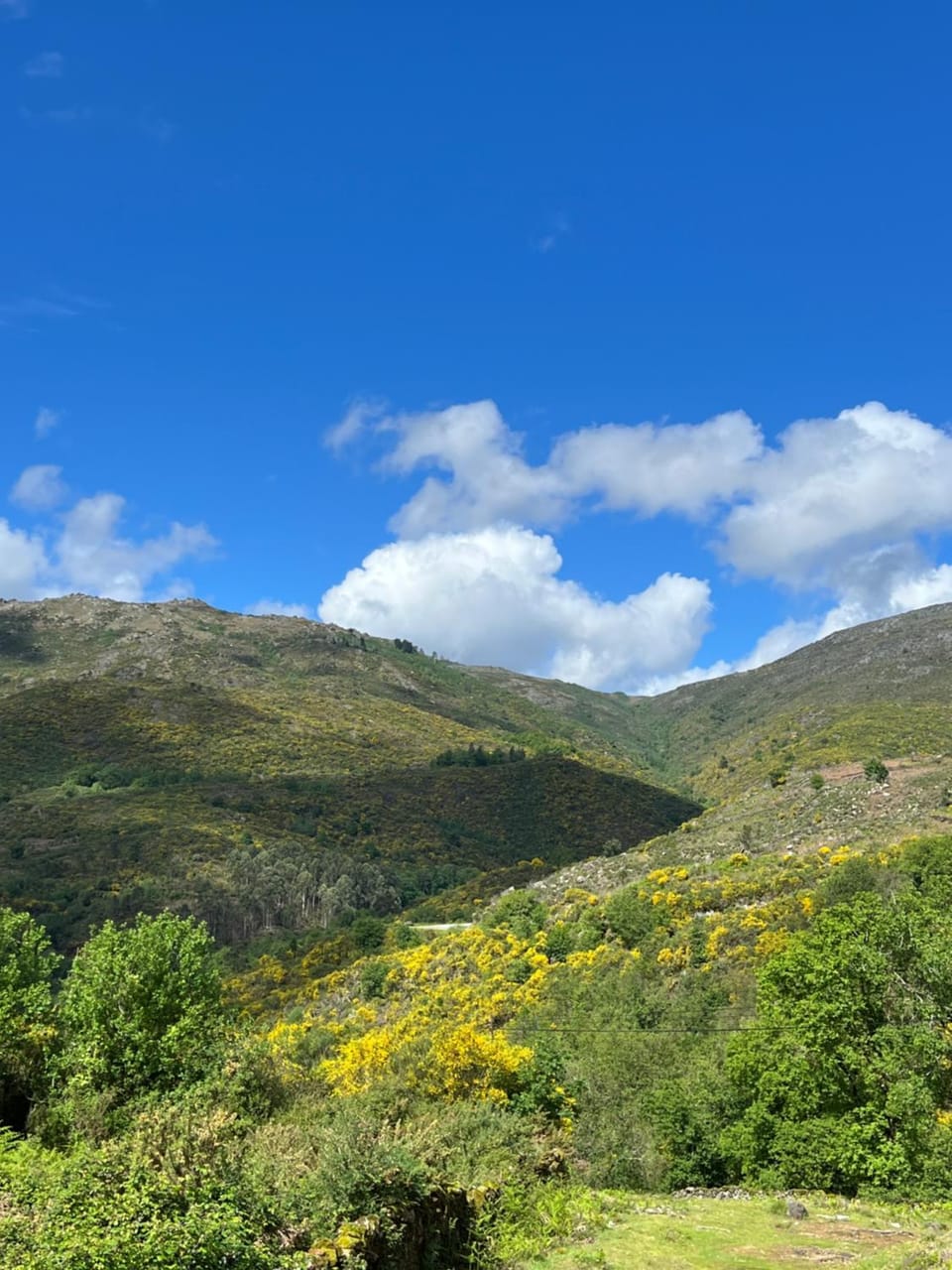 Natural landscape