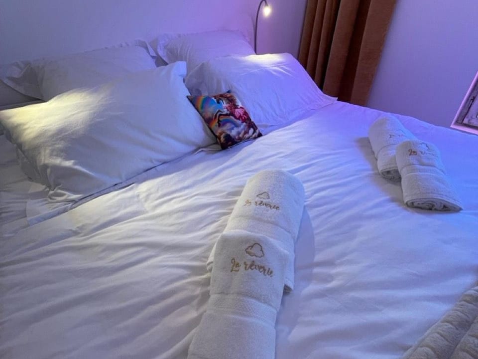 Appartement avec spa et sauna, centre historique Vierzon - FR-1-586-49 Apartment in Centre-Val de Loire