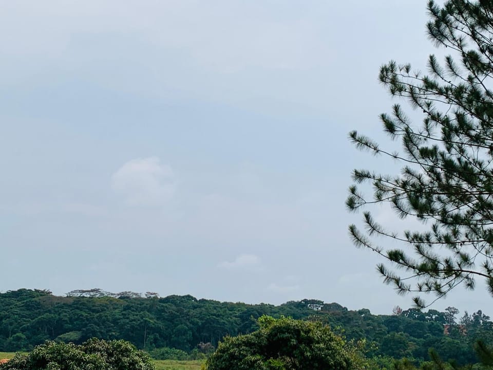 Natural landscape