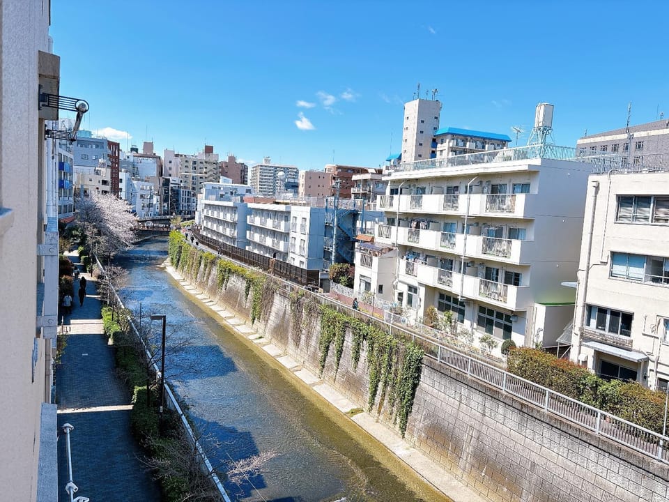Day, Neighbourhood, Natural landscape, City view, Street view